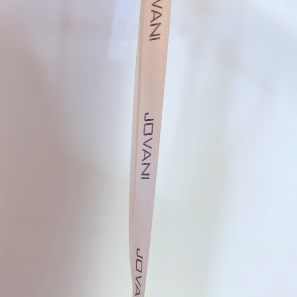 Jovani Crystal champagne gown size 2 - Picture 15 of 15